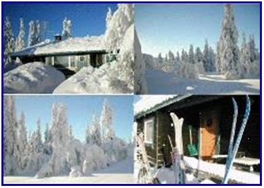 Collage winter